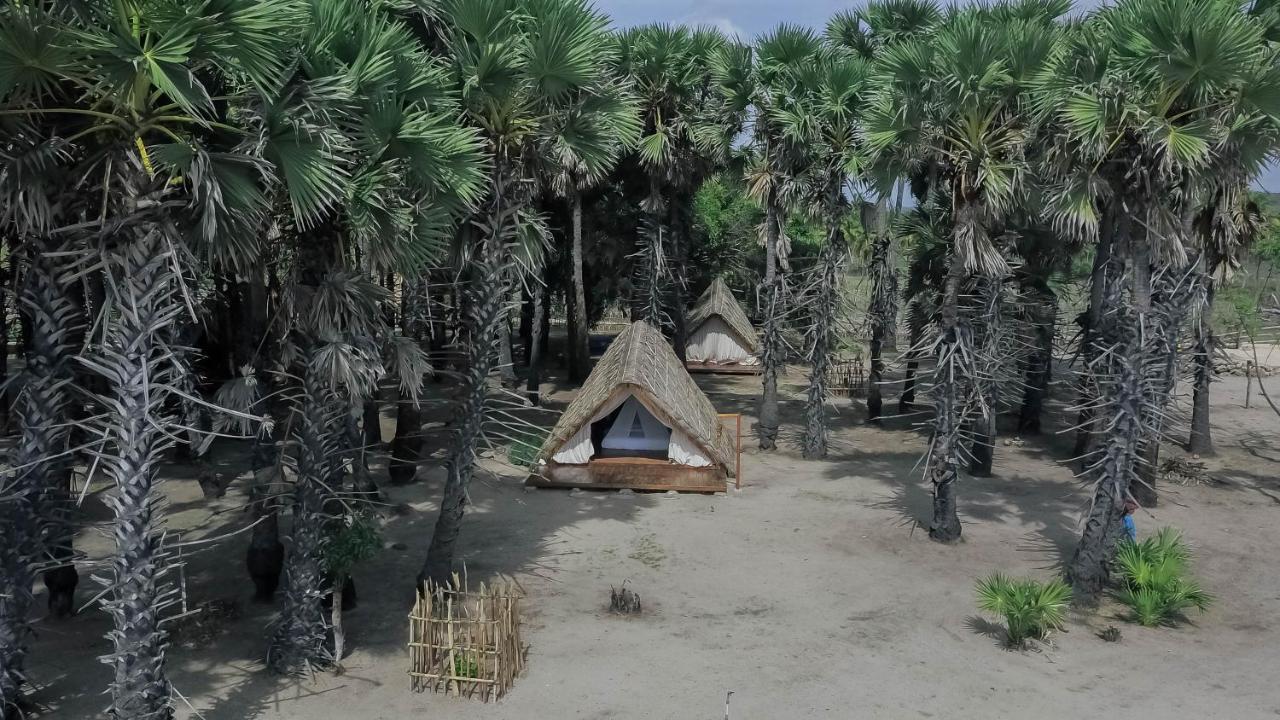 Costa Beach Resort & Club Уайнгапу Екстериор снимка